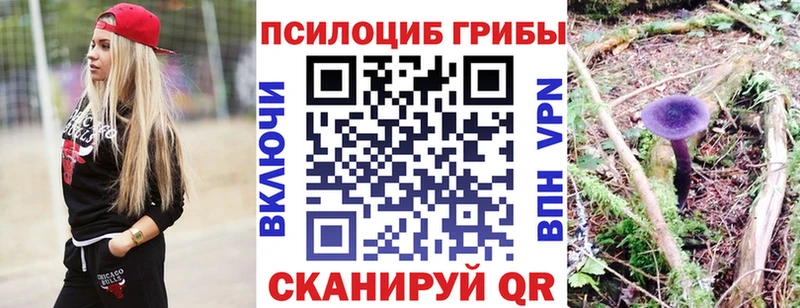 Псилоцибиновые грибы GOLDEN TEACHER сколько стоит Алагир